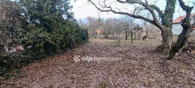 Eladó telek, Szigetújfalun 14 M Ft / költözzbe.hu