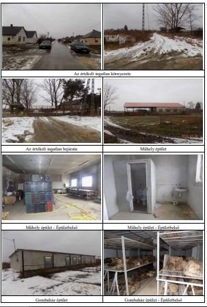 Eladó ipari ingatlan, Gyürén 80 M Ft / költözzbe.hu