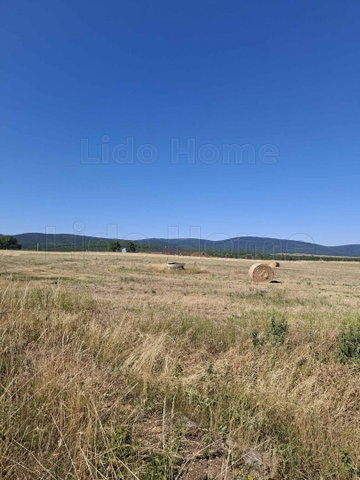 Eladó ipari ingatlan, Márkón 160 M Ft / költözzbe.hu
