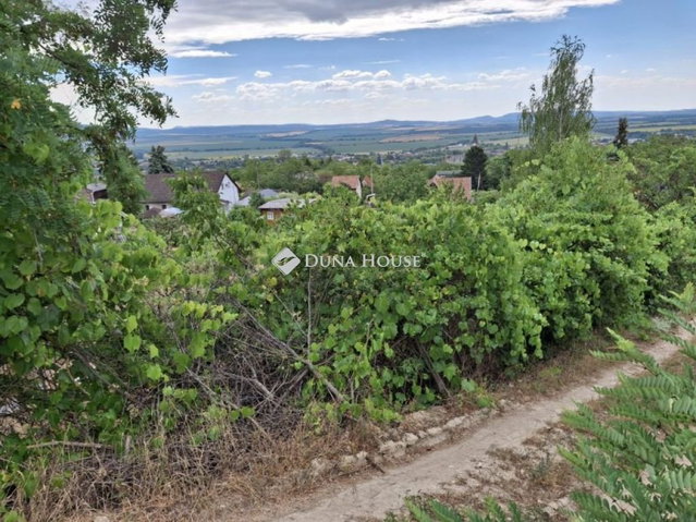 Eladó telek, Zsámbékon 9.9 M Ft / költözzbe.hu
