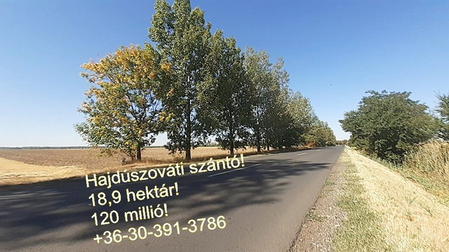 Eladó mezogazdasagi ingatlan, Hajdúszováton 120 M Ft