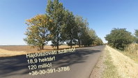 Eladó mezogazdasagi ingatlan, Hajdúszováton 120 M Ft