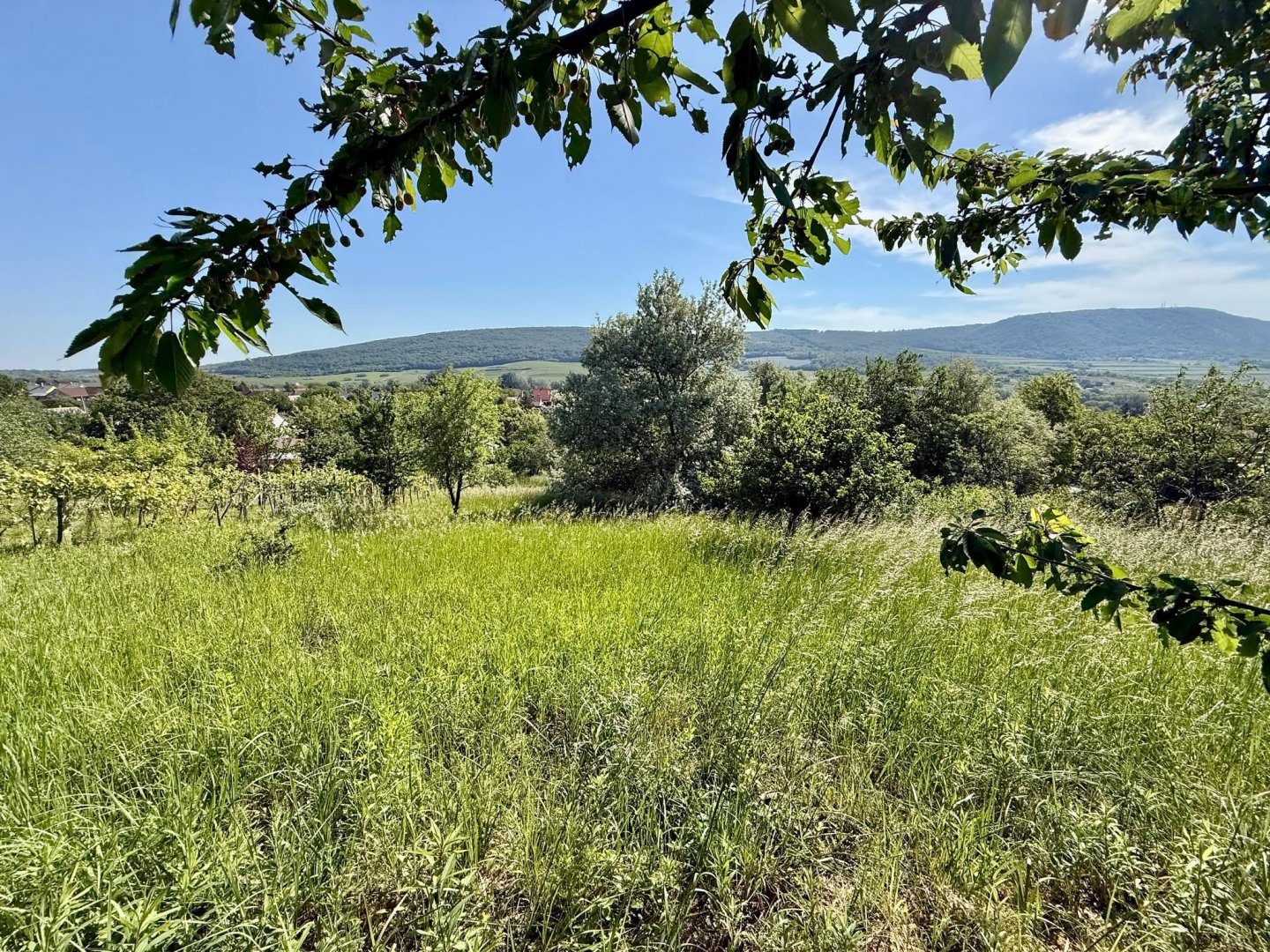 1867m² · 5.400.000 ft