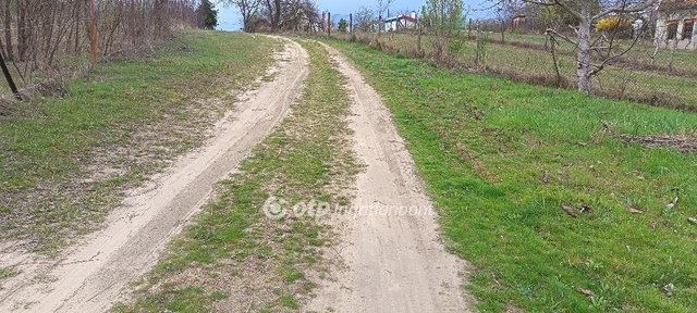 Eladó telek, Taksonyon 59 M Ft / költözzbe.hu