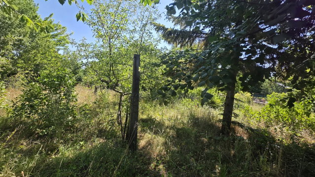 Eladó telek, Székesfehérvárott 5 M Ft / költözzbe.hu