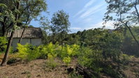Eladó telek, Balatonkenesén 19.5 M Ft / költözzbe.hu