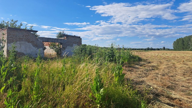 Eladó mezogazdasagi ingatlan, Hernádcécén 10 M Ft