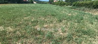Eladó telek, Budajenőn 85 M Ft / költözzbe.hu