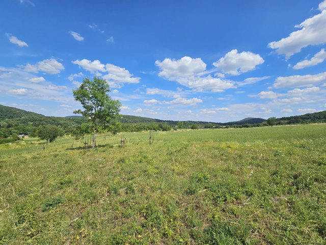 Eladó telek, Nagykovácsiban 69.9 M Ft / költözzbe.hu