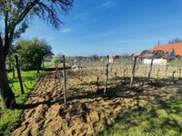 Eladó mezogazdasagi ingatlan, Monoron 25.9 M Ft