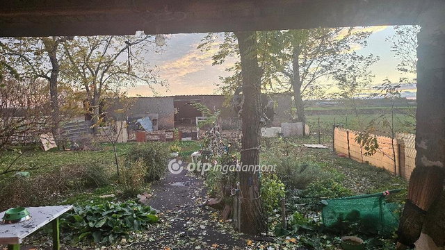 Eladó mezogazdasagi ingatlan, Jászjákóhalmán 13.8 M Ft