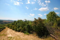Eladó telek, Pécselyen 49.9 M Ft / költözzbe.hu