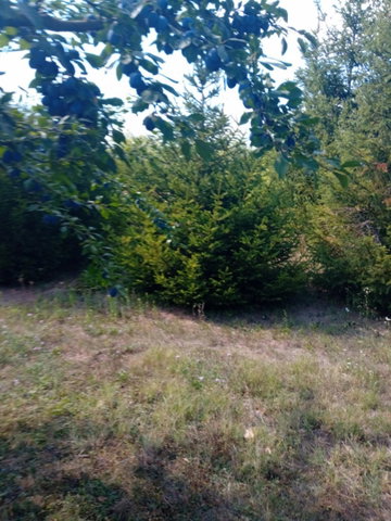 Eladó telek, Gyomaendrődön 11.5 M Ft / költözzbe.hu