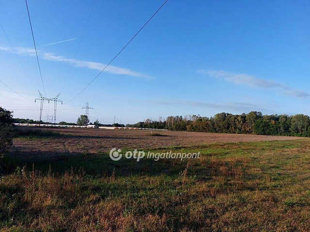 Eladó mezogazdasagi ingatlan, Ópusztaszeren 2.9 M Ft