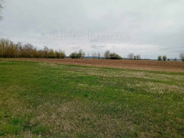 Eladó mezogazdasagi ingatlan, Balatonszárszón 17 M Ft