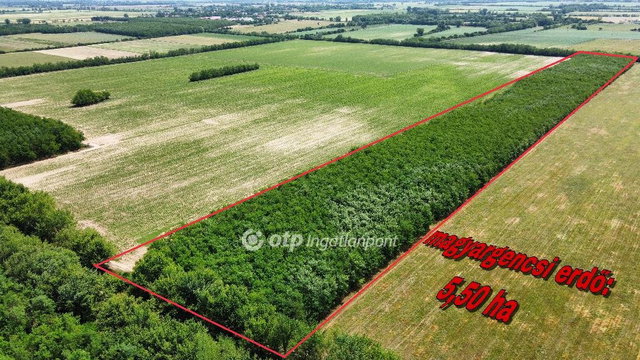 Eladó mezogazdasagi ingatlan, Magyargencsen 12 M Ft