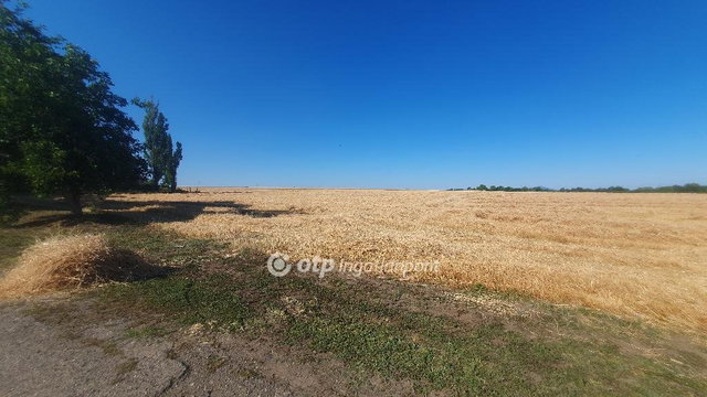 Eladó mezogazdasagi ingatlan, Taktaharkányon 39 M Ft