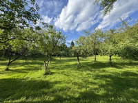 Eladó mezogazdasagi ingatlan, Zalaegerszegen 7.9 M Ft