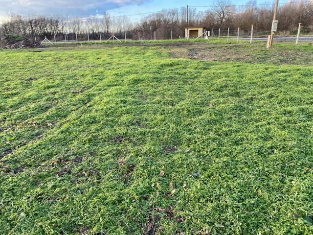 Eladó mezogazdasagi ingatlan, Szarvason 8.5 M Ft