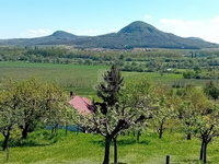 Eladó telek, Kisapátiban 85 M Ft / költözzbe.hu