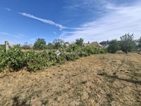 Eladó családi ház, Zsámbokon 50 M Ft, 3 szobás
