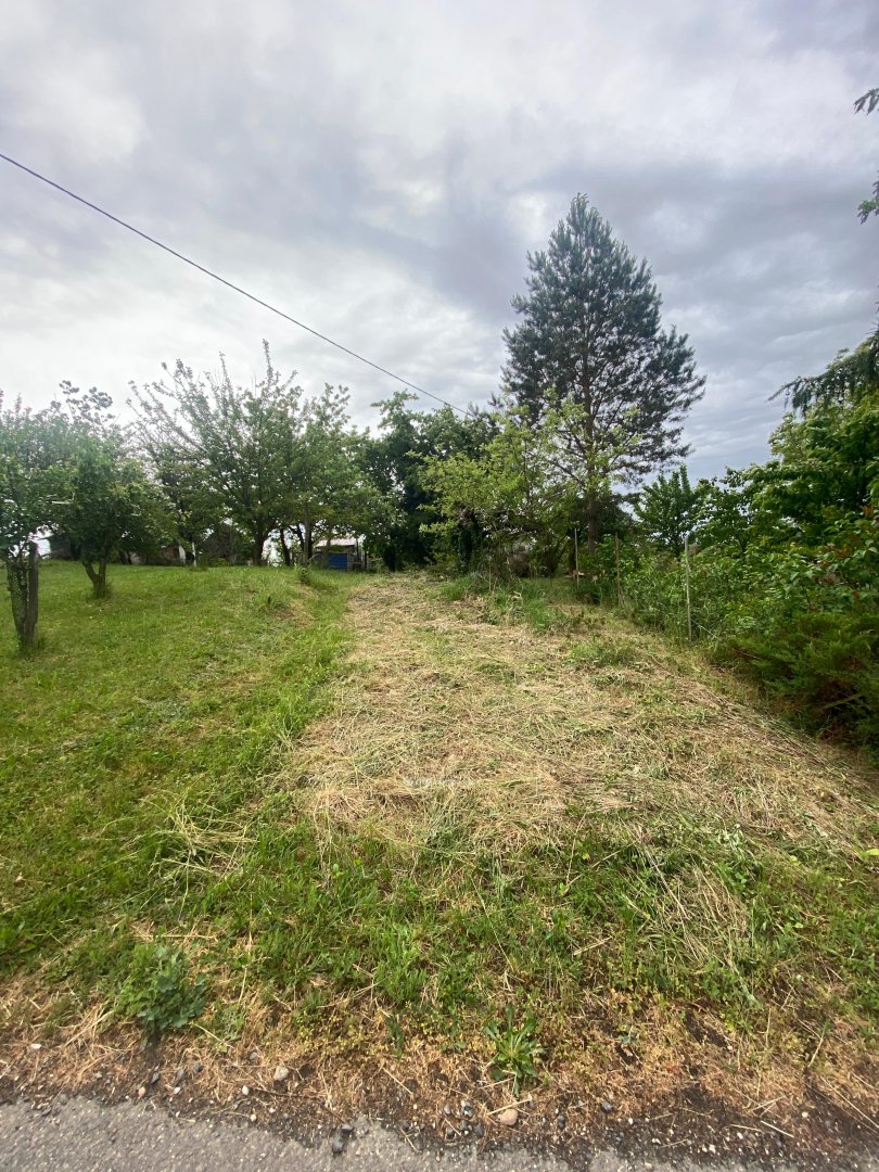 2317m² · 2.999.000 ft
