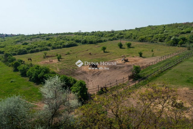 Eladó ipari ingatlan, Zsámbékon 248 M Ft / költözzbe.hu