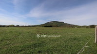 Eladó mezogazdasagi ingatlan, Badacsonytomajon 15.9 M Ft