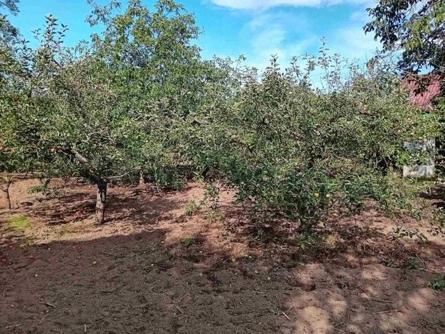 Eladó mezogazdasagi ingatlan, Győrött 12.99 M Ft, 1 szobás