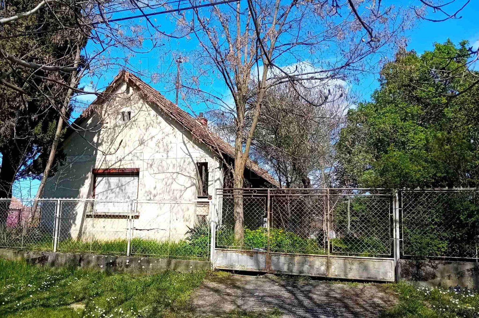 3 bed · 45m² · 30.000.000 ft