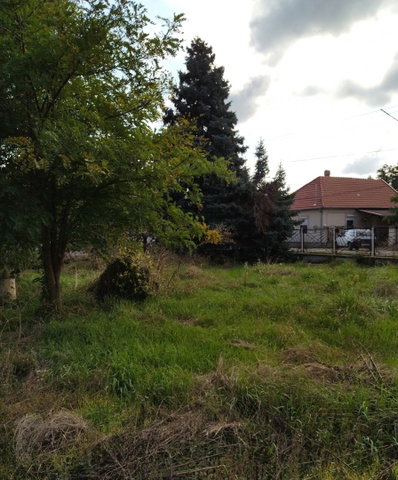 Eladó telek, Eleken, Erkel Ferenc utcában 1.375 M Ft