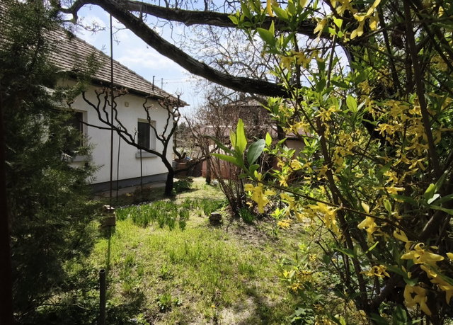 Eladó családi ház, Budapesten, XXII. kerületben 99.99 M Ft