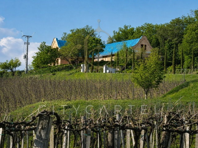 Eladó családi ház, Monoszlón 149 M Ft, 8 szobás