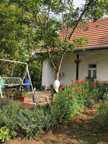 Eladó mezogazdasagi ingatlan, Jászszentandráson 34.99 M Ft