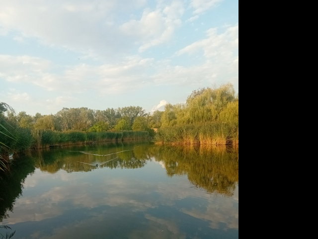 Eladó nyaraló, Gyomaendrődön, Hantoskerti úton 34.9 M Ft
