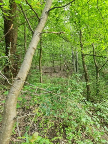 Eladó telek, Visegrádon 42.9 M Ft / költözzbe.hu