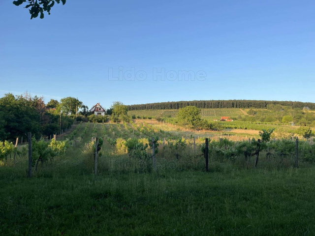 Eladó mezogazdasagi ingatlan, Balatonlelleén 29.5 M Ft
