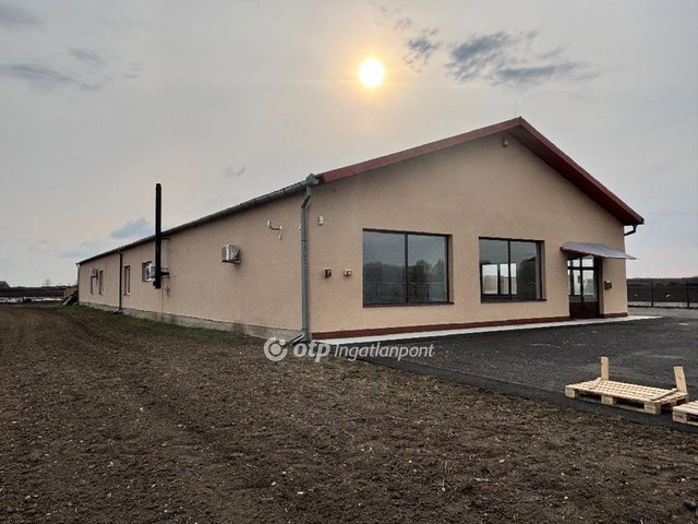 Kiadó ipari ingatlan, Gyulán 800 E Ft / hó / költözzbe.hu