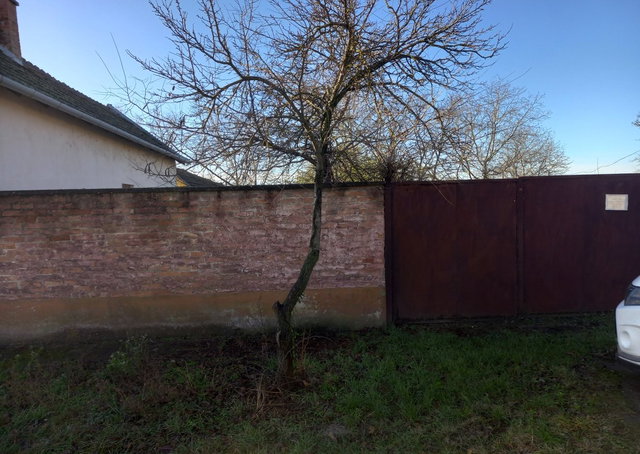 Eladó telek, Tiszaalpáron 2.76 M Ft / költözzbe.hu