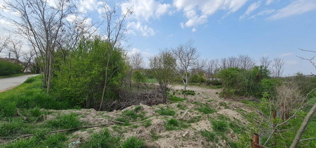 Eladó telek, Röszkén 8.2 M Ft / költözzbe.hu