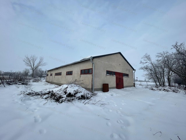 Eladó ipari ingatlan, Tiszajenőn 17.9 M Ft, 8 szobás