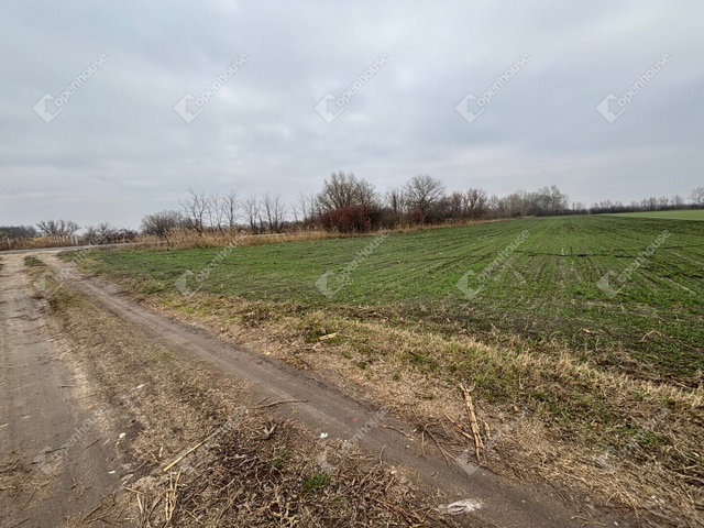 Eladó telek, Csévharaszton 100 M Ft / költözzbe.hu