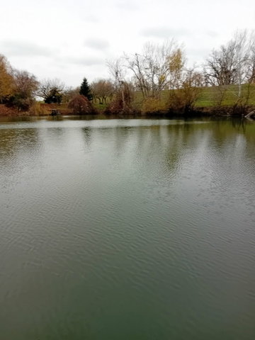 Eladó nyaraló, Gyomaendrődön 26.5 M Ft, 1 szobás