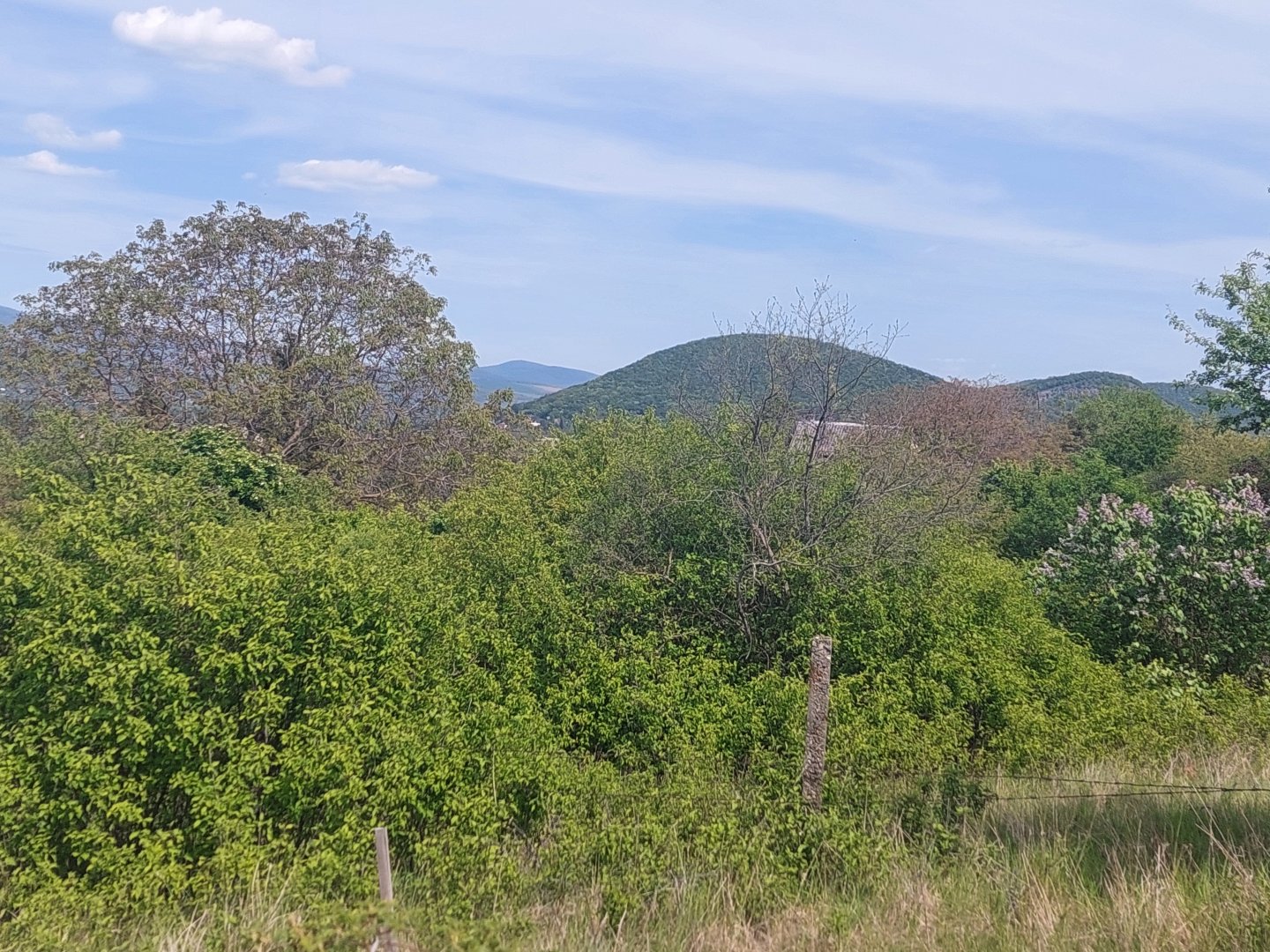 1460m² · 13.500.000 ft