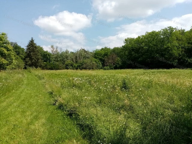 Eladó mezogazdasagi ingatlan, Igalon 2.1 M Ft