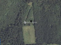 Eladó telek, Zalaszántón 5 M Ft / költözzbe.hu