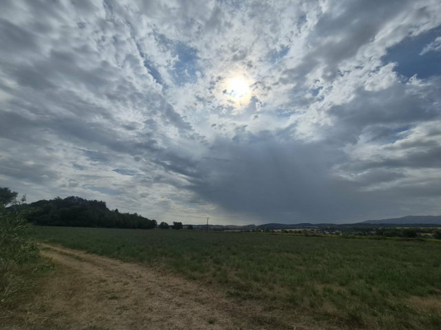 Eladó mezogazdasagi ingatlan, Nemtiben 18.7 M Ft
