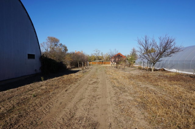 Eladó mezogazdasagi ingatlan, Tiszaszigeten 80 M Ft