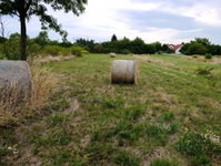 Eladó telek, Márkón 28.5 M Ft / költözzbe.hu