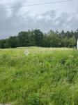 Eladó telek, Kőszegdoroszlón 19.5 M Ft / költözzbe.hu